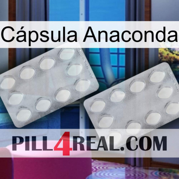 Cápsula Anaconda 17.jpg